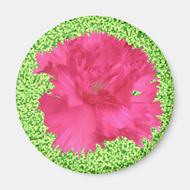 Imã Magneta cor-de-rosa (Frente)