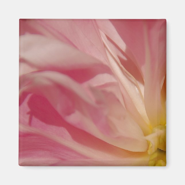 Imã Magneta cor-de-rosa (Frente)