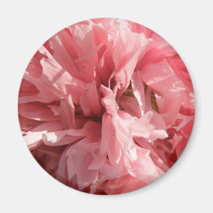 Imã Magneta cor-de-rosa bonito