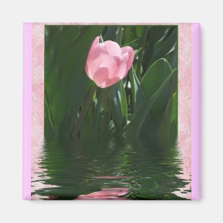 Imã Magneta cor-de-rosa bonito