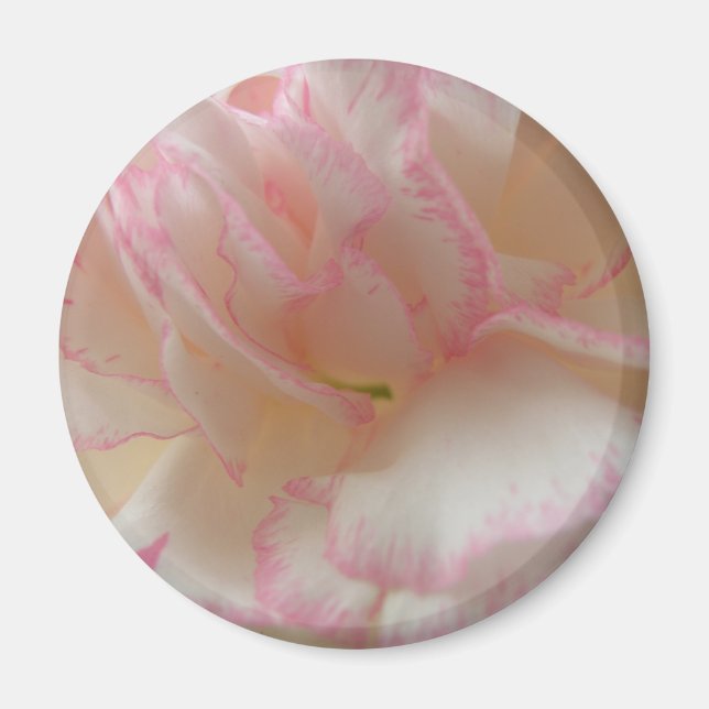Imã Magneta cor-de-rosa e branca (Frente)