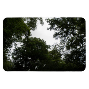 Ímã Magneta Creepy Forest Premium