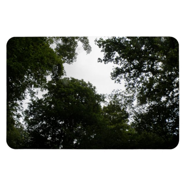 Ímã Magneta Creepy Forest Premium (Horizontal)