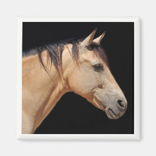 Imã Magneta da Cabeça de Cavalo