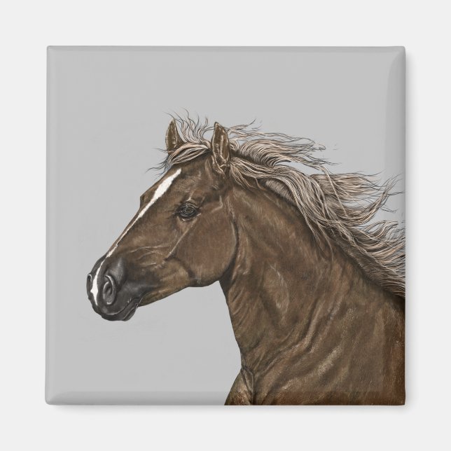 Imã Magneta da Cabeça de Cavalo Castanho (Frente)
