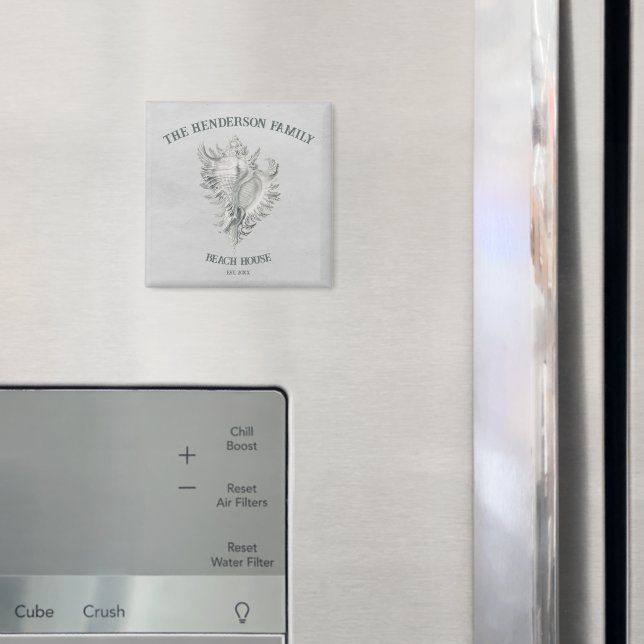 Imã Magneta da casca da cinza (In Situ (Fridge))