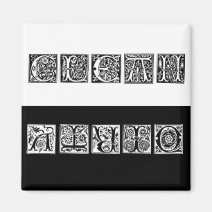 Imã Magneta da lavadora de louça limpa e suja