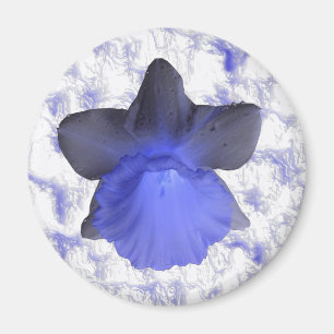 Imã Magneta Daffodil de Disco Azul Moody