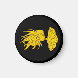 Imã Magneta Darton do SCA