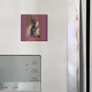 Imã Magneta de Açúcar Bebê