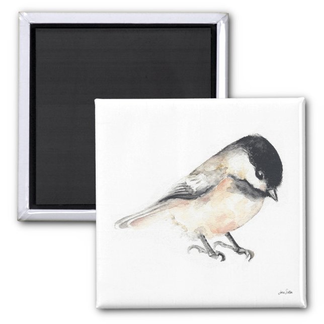 Imã Magneta de Aquarela Chickadee (Chickadee Watercolor Magnet from Jenn's Emporium. )