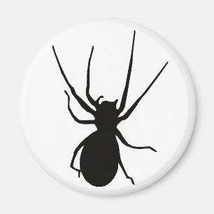Imã Magneta de aranha assustadora preta