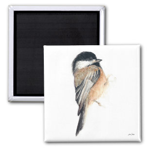 Imã Magneta de Arte de Aquarela Chickadee