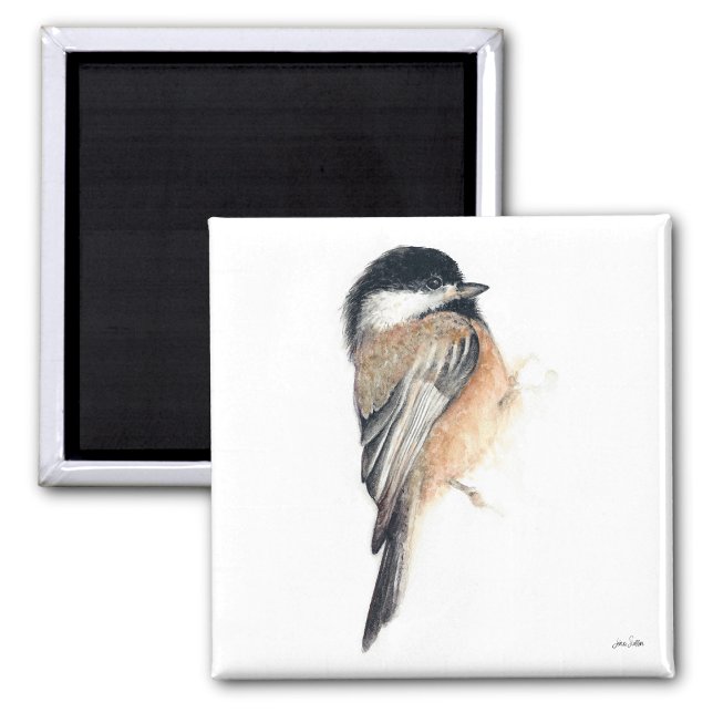 Imã Magneta de Arte de Aquarela Chickadee (Chickadee Watercolor Art Magnet from Jenn's Emporium. )