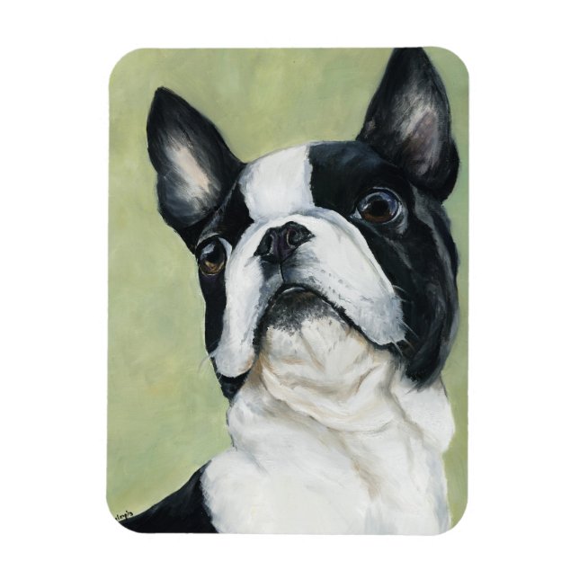 Ímã Magneta de Arte de Cachorro Boston Terrier (Vertical)
