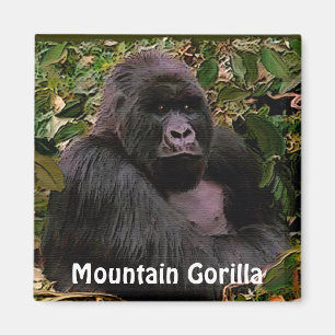 Imã Magneta de arte de macacos Excelentes de gorila de