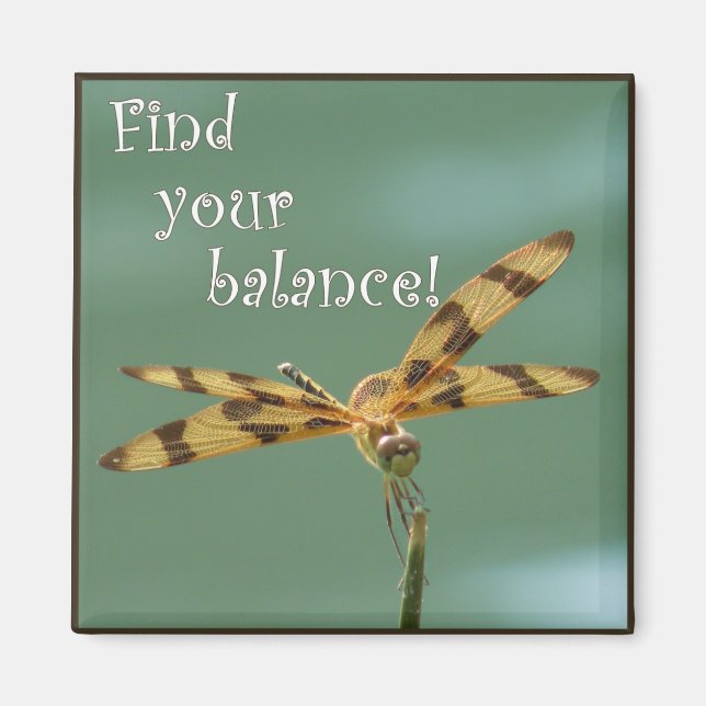 Imã Magneta de Balanceamento de Dragonfly (Frente)