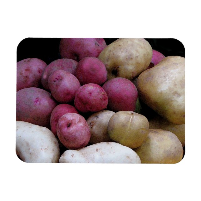 Ímã Magneta de batata (Horizontal)