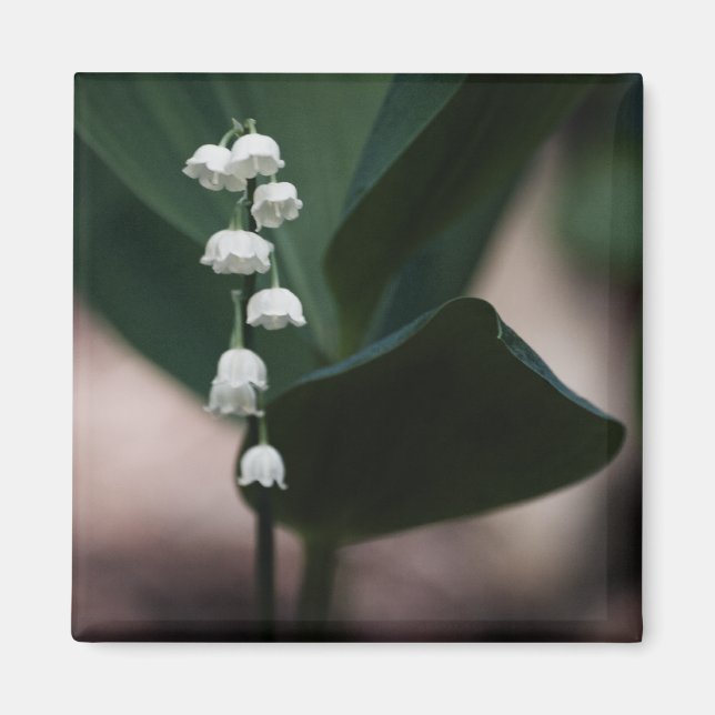 Imã Magneta de Bells Doce (Frente)