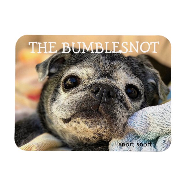 Ímã Magneta de Bumblesnot: snort (Horizontal)