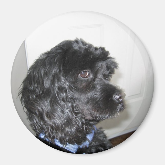 Imã Magneta de Cachorro Adorável (Frente)