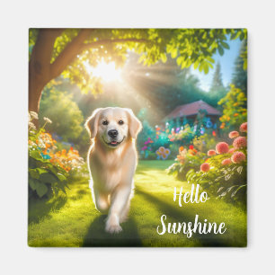 Imã Magneta de cães