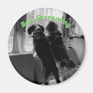 Imã Magneta de cães Bea Streaming