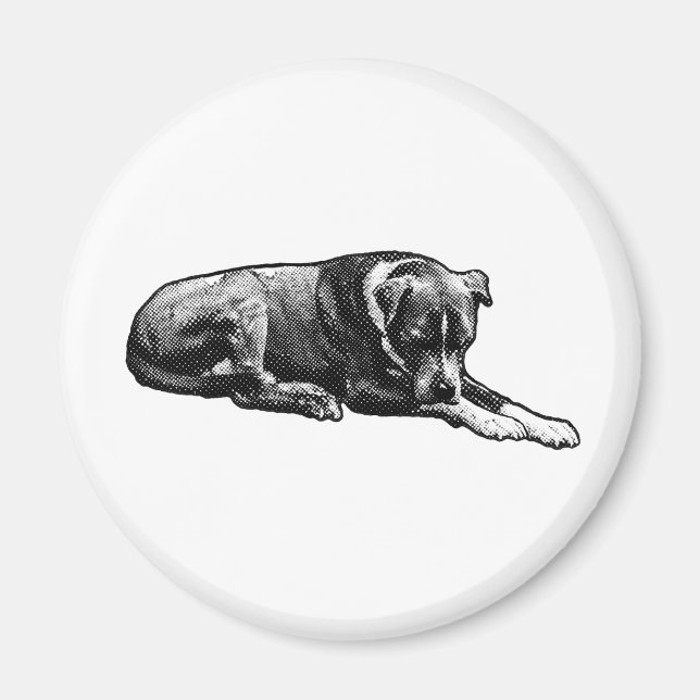 Imã Magneta de cães de observação retrorreflectora (Frente)