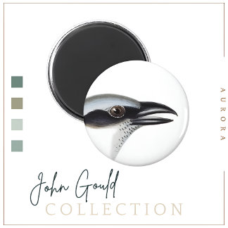 Imã Magneta de camarão negro