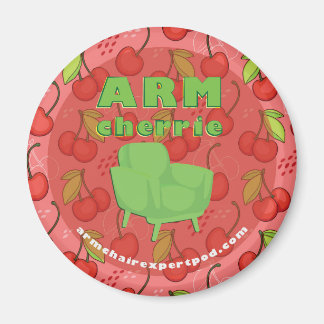 Imã Magneta de carro de perito em ArmPresidente