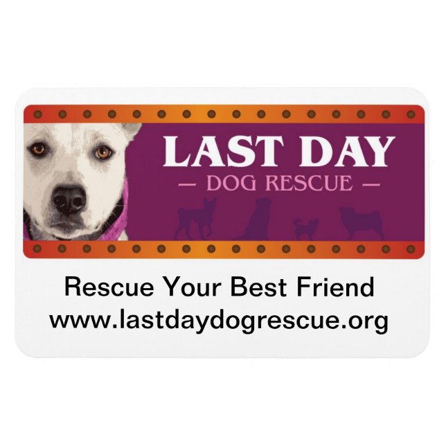 Ímã Magneta de carro LDDR (Horizontal)