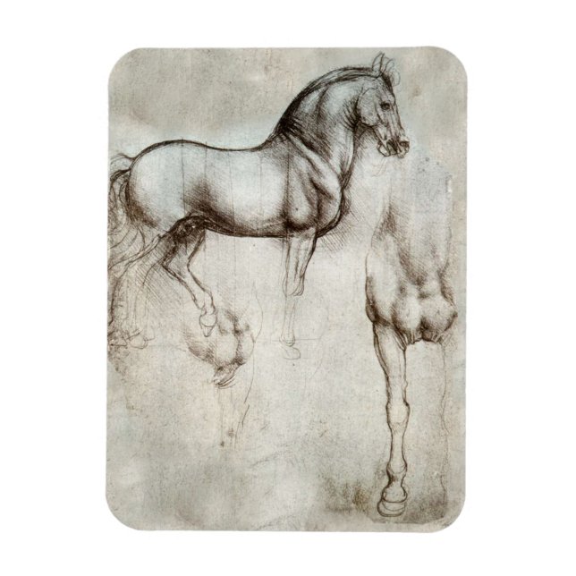 Ímã Magneta De Cavalo Da Vinci (Vertical)