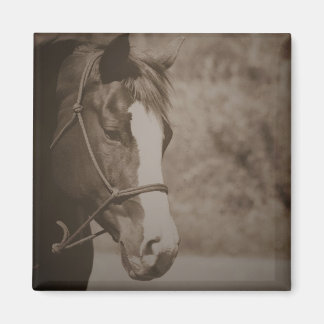 Imã Magneta de Cavalo Vintage