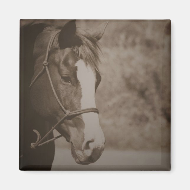 Imã Magneta de Cavalo Vintage (Frente)