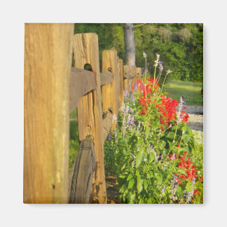 Imã Magneta de cerca de madeira