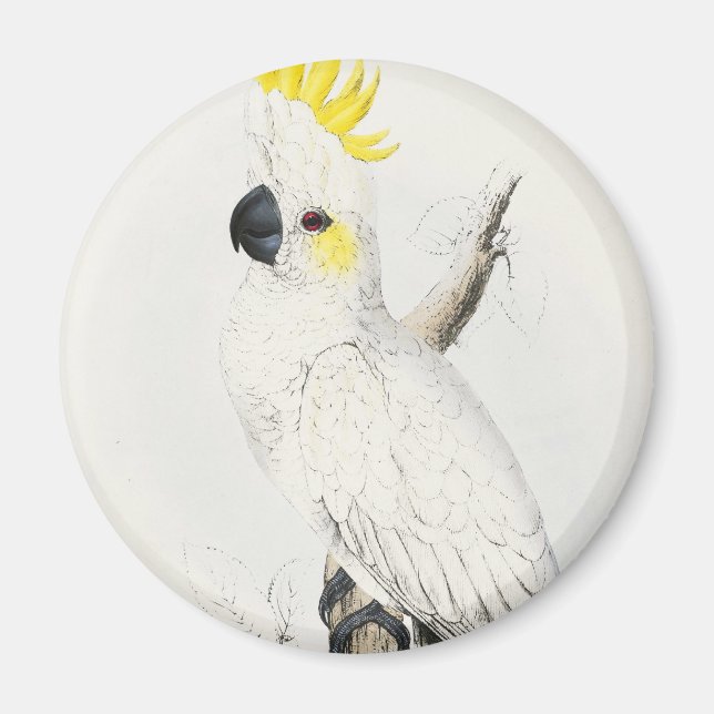 Imã Magneta de Cockatoo Penteada Amarelo (Frente)