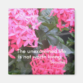 Imã Magneta de Cotação Motivacional Sócrates