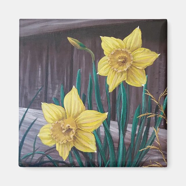 Imã Magneta de Daffodils Amarelo (Frente)