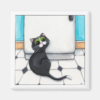 Imã Magneta de Dica Sutil