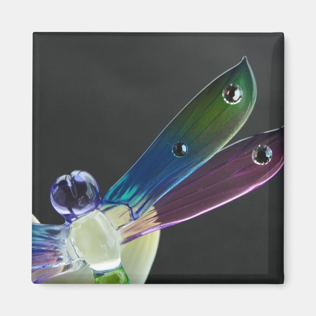 Imã Magneta de Dragonfly (Frente)