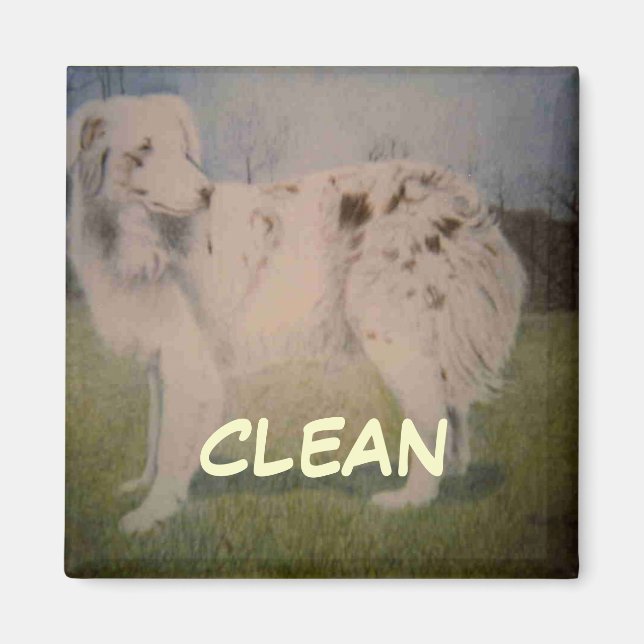 Imã Magneta De Estado Do Dish Washer (Frente)