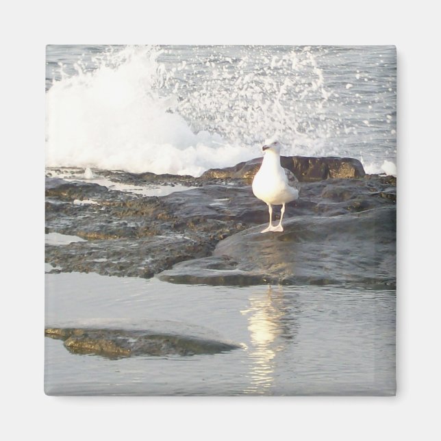 Imã Magneta de Estância Estável (Frente)