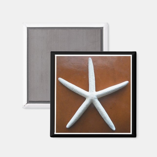 Imã Magneta de estrela do mar (Front/Back)