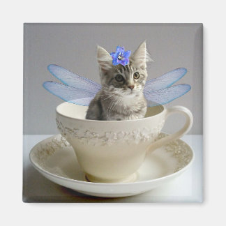 Imã Magneta de fada de gato de Maine Coon