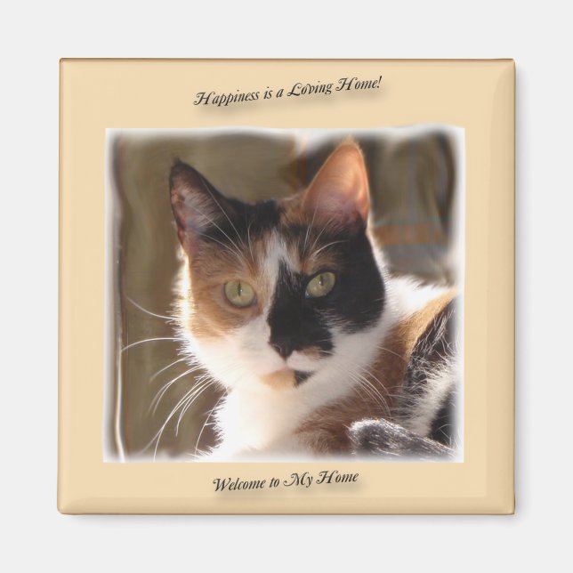 Imã Magneta de Felicidade para Gatos de Bomba (Frente)