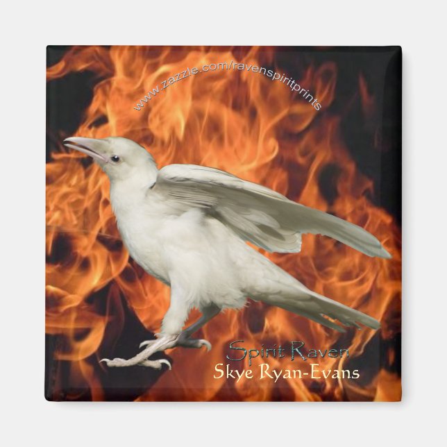 Imã Magneta DE FIRME RAVEN (Frente)