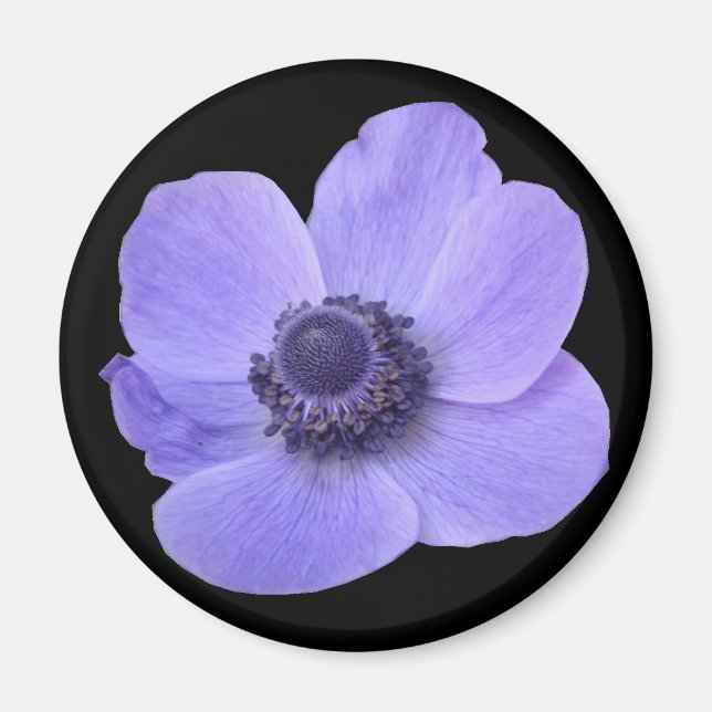 Imã Magneta de Flor Anêmone Azul (Frente)