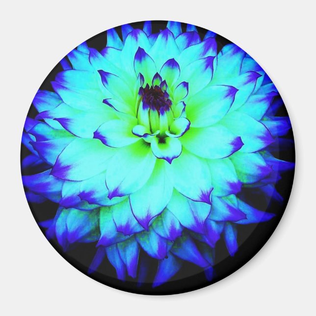 Imã Magneta de flor azul (Frente)