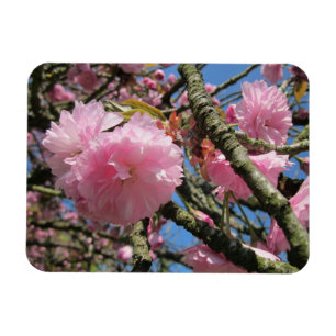 Ímã Magneta de flores