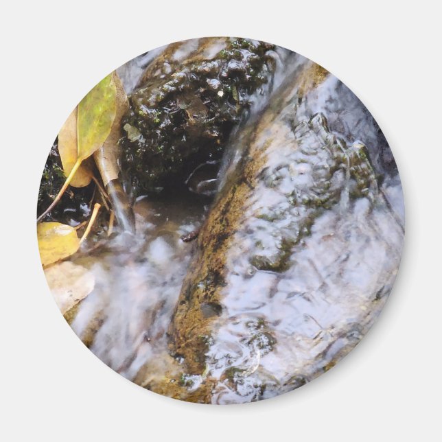 Imã Magneta de Fluxo de outono Reflexo (Frente)